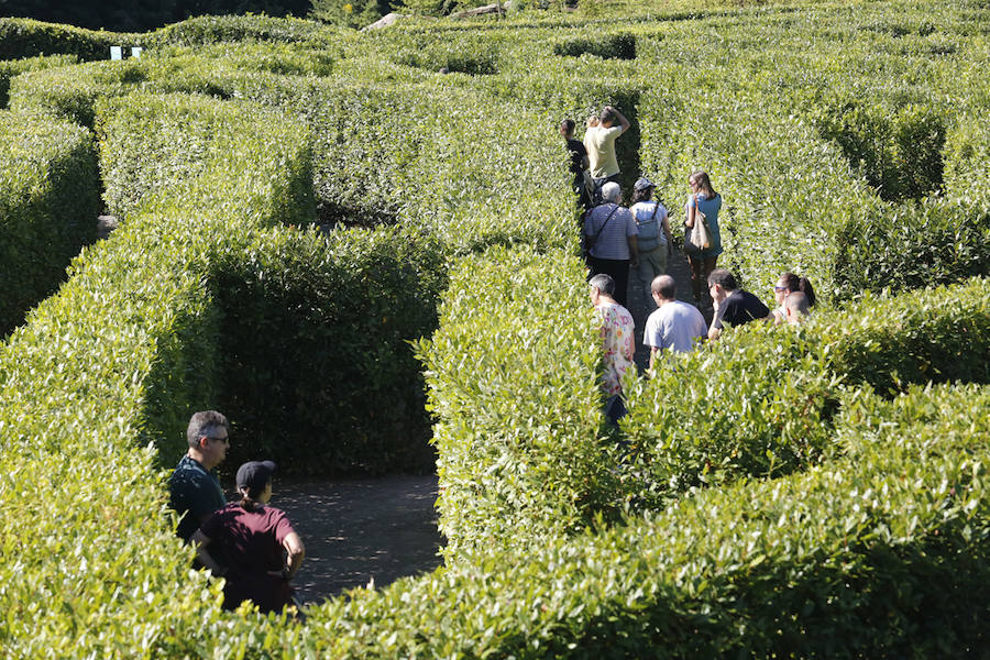 El jardín gijonés celebra el equinoccio con una jornada de puertas abiertas y visitas guidadas al nuevo bioma boreal y el laberinto de laurel.