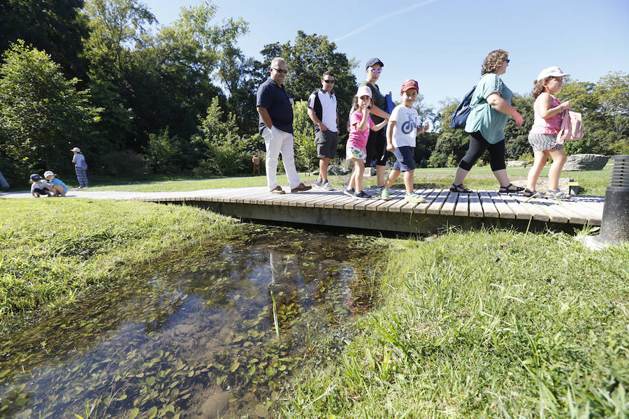 El jardín gijonés celebra el equinoccio con una jornada de puertas abiertas y visitas guidadas al nuevo bioma boreal y el laberinto de laurel.