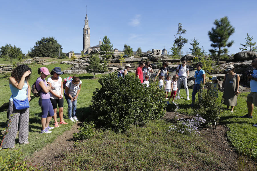 El jardín gijonés celebra el equinoccio con una jornada de puertas abiertas y visitas guidadas al nuevo bioma boreal y el laberinto de laurel.
