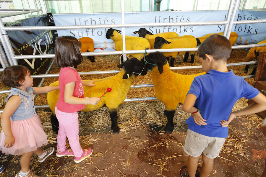 La feria del campo, que reúne mil animales y cientos de expositores, celebra el concurso de estas reses.