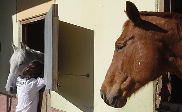 Una mujer en El Asturcón, cuya entrada estaba controlada por trabajadores de colaboración social. 