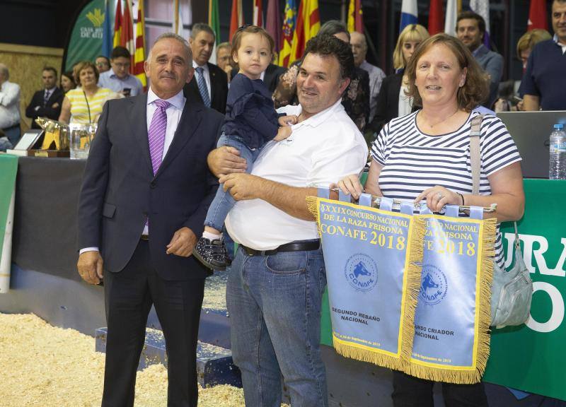 Las reses de la explotación gozoniega arrasa en el concurso de frisonas y la vaca 'Koketa' revalida el título del pasado año.