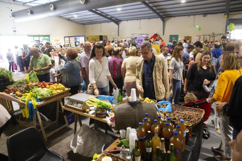 Las reses de la explotación gozoniega arrasa en el concurso de frisonas y la vaca 'Koketa' revalida el título del pasado año.