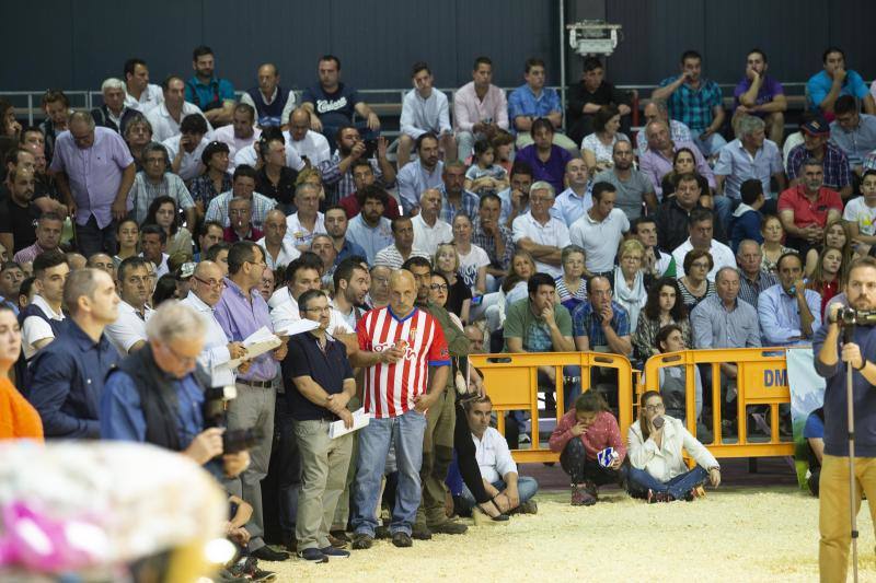 Las reses de la explotación gozoniega arrasa en el concurso de frisonas y la vaca 'Koketa' revalida el título del pasado año.