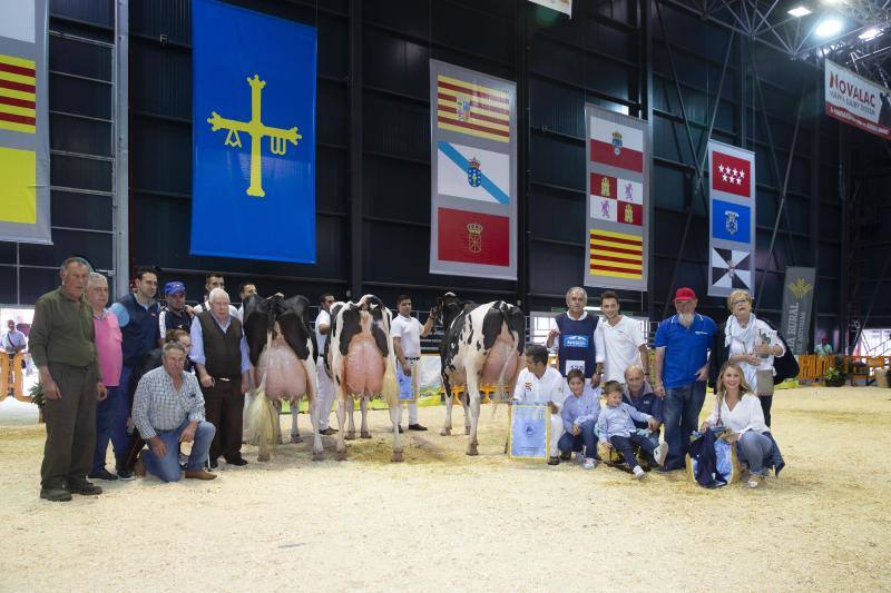 Las reses de la explotación gozoniega arrasa en el concurso de frisonas y la vaca 'Koketa' revalida el título del pasado año.