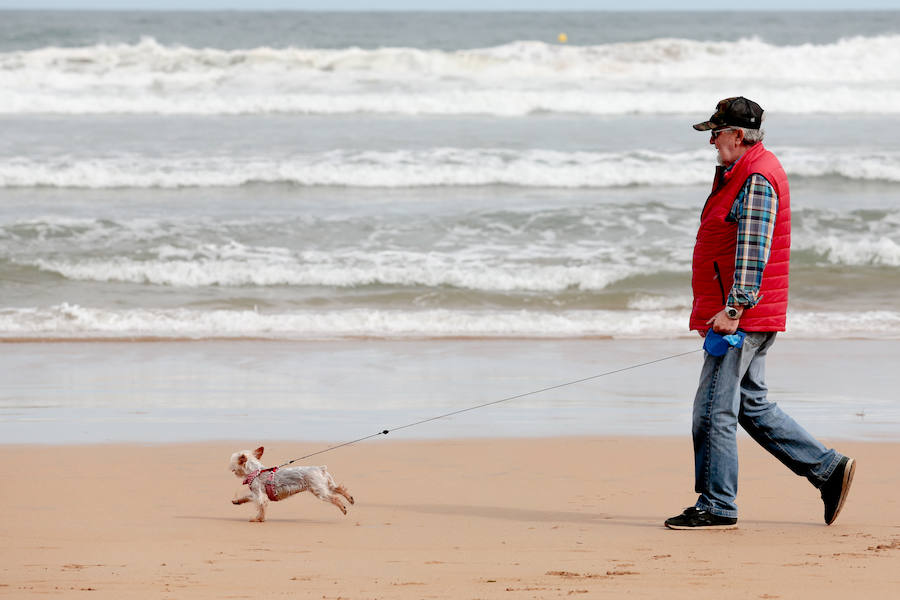 El arenal gijonés de San Lorenzo vuelve a estar disponible para los perros. Hasta el próximo 1 de mayo, podrán disfrutar de las aguas y de la arena entre las escaleras 2 y 8. 