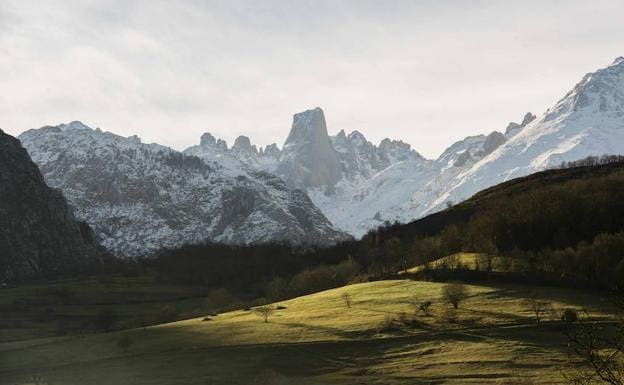 Picos de Europa