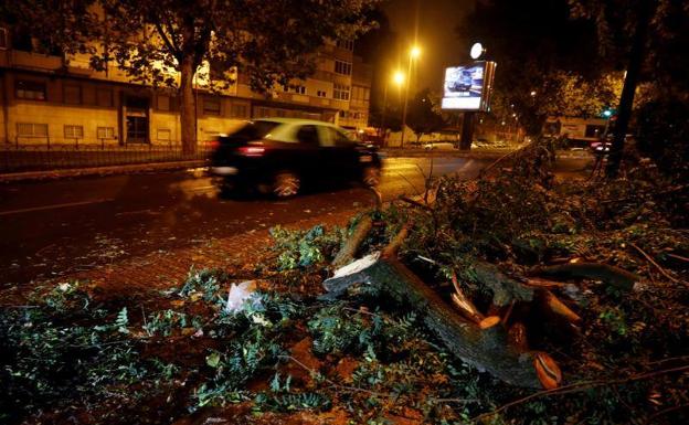 Destrozos en una calle del barrio de Benfica, en Lisboa, tras el paso de Leslie.