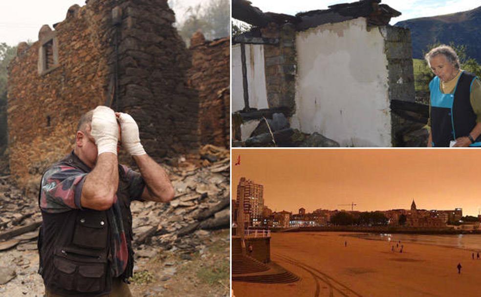 Incendios forestales en Asturias | «Todo quedó en caldo de castañas y eso que dijeron que nos iban a ayudar»