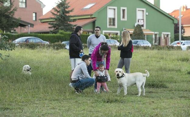 Varios vecinos paseando a sus perros en la Urbanización de La Fresneda. 