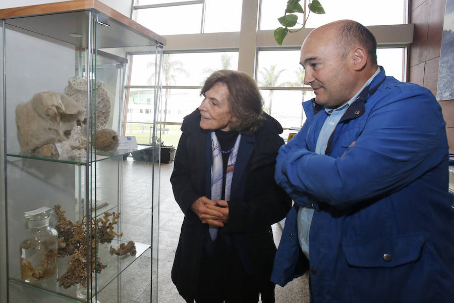 La oceanógrafa estadounidense Sylvia Earle, galardonada con el Premio Princesa de Asturias de la Concordia, visitó este jueves el Instituto oceanográfico de Gijón