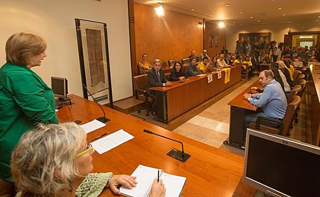 Los plenos de Avilés y Gozón rechazan de forma unánime la decisión de la multinacional