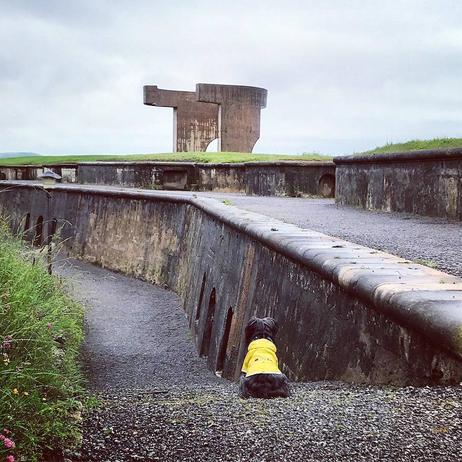 La muestra sobre el proceso de creación de la escultura gijonesa y el congreso en el que expertos de todo el mundo analizarán su impacto y conservación se complementan de la mano de aficionados a la fotografía. El concurso 'Retrato (selfie) con el Elogio'llega hoy a su fin y promete futura exposición. Aún hay tiempo