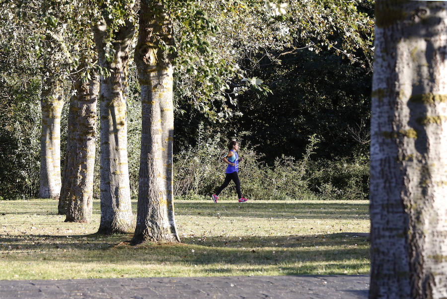 Ha llegado para quedarse... hasta diciembre, y ofrecernos unas espectaculares imágenes monocolor. Rincones bucólicos más propios de sueños de que despertares. Melancolía asturiana en verde y ocre.