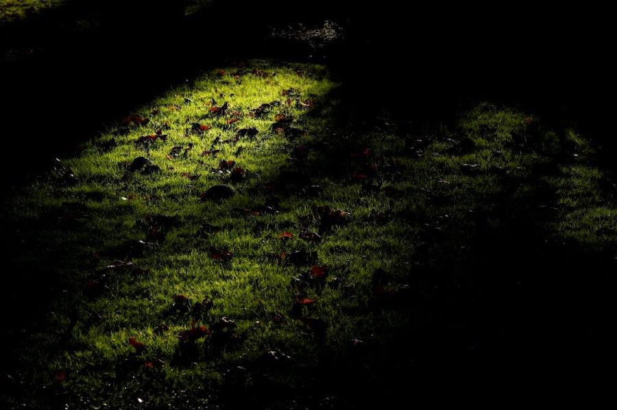 Ha llegado para quedarse... hasta diciembre, y ofrecernos unas espectaculares imágenes monocolor. Rincones bucólicos más propios de sueños de que despertares. Melancolía asturiana en verde y ocre.