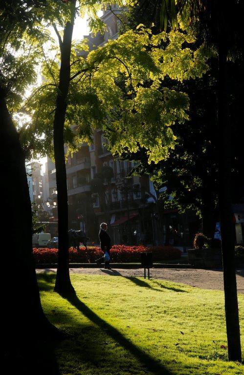 Ha llegado para quedarse... hasta diciembre, y ofrecernos unas espectaculares imágenes monocolor. Rincones bucólicos más propios de sueños de que despertares. Melancolía asturiana en verde y ocre.