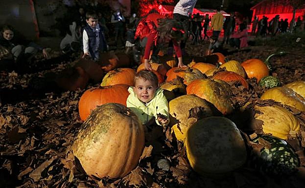 'Calabazas y calaveras' en el Jardín Botánico.