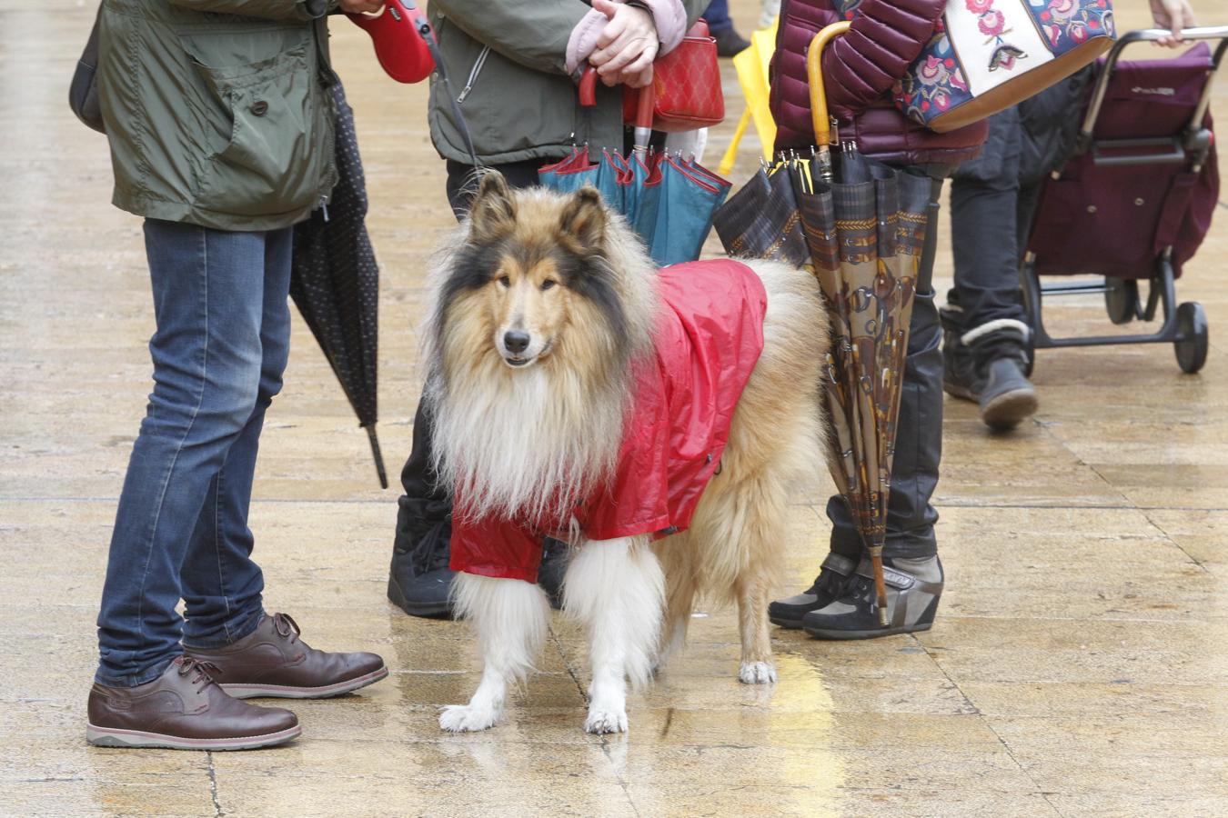 Oviedo ha sido uno de los cincos municipios que más lluvia ha acumulado en Asturias