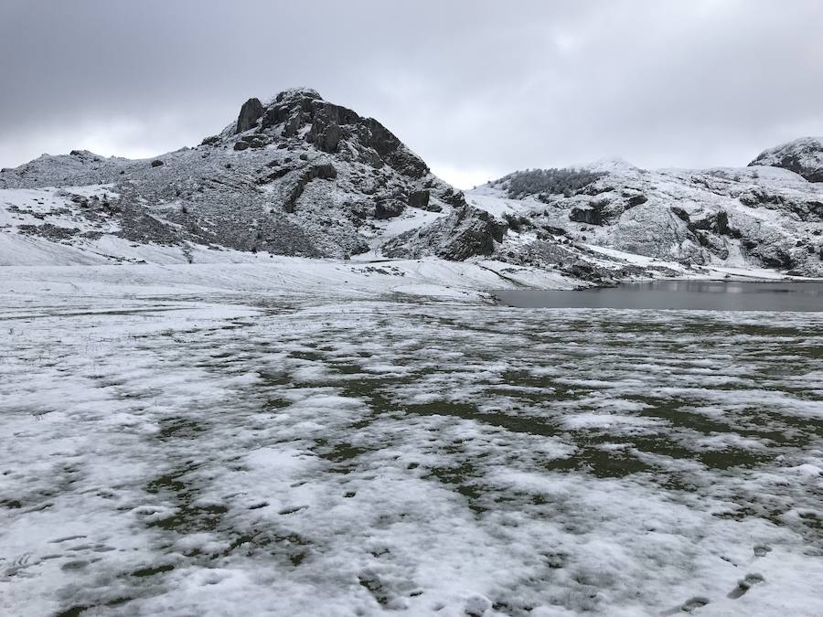 La ola de frío ha llegado a Asturias y ha cubierto las zonas de alta montaña de la región de blanco con las primeras nevadas