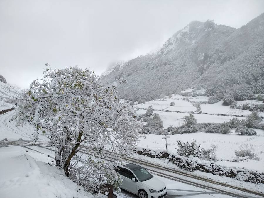 La ola de frío ha llegado a Asturias y ha cubierto las zonas de alta montaña de la región de blanco con las primeras nevadas