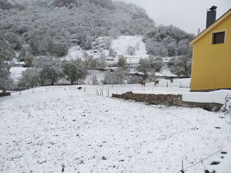 La ola de frío ha llegado a Asturias y ha cubierto las zonas de alta montaña de la región de blanco con las primeras nevadas