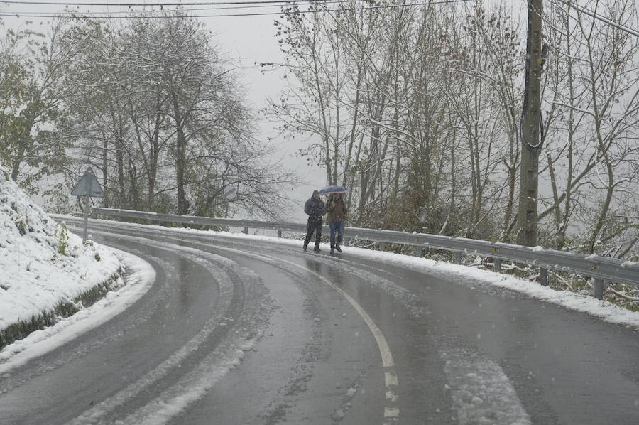 Los concejos del oriente asturiano llucen un manto blanco