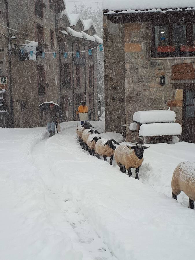 Los concejos del oriente asturiano llucen un manto blanco