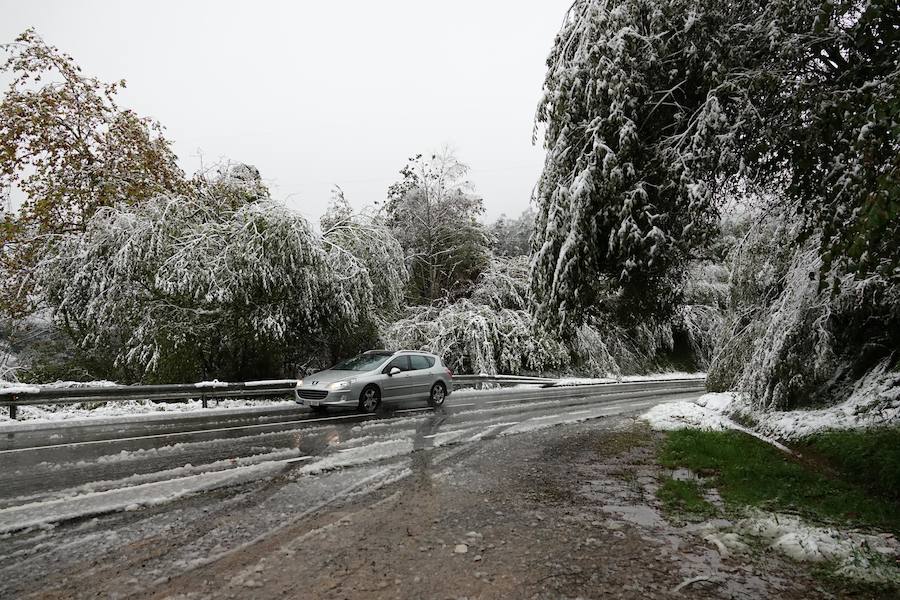El temporal se ha recrudecido y además de complicar la comunicación con la Meseta, ha ocasionado numerosas incidencias. La nieve ha cubierto muchos puntos de la región dejando estampas totalmente invernales