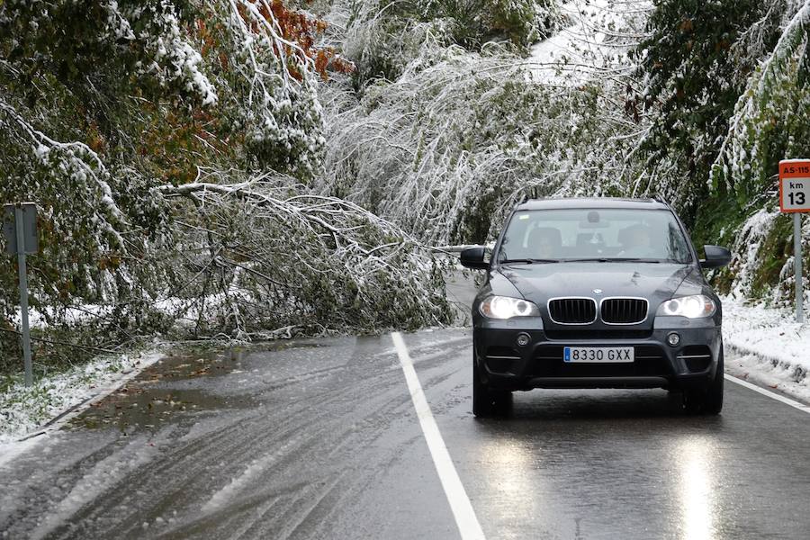 El temporal se ha recrudecido y además de complicar la comunicación con la Meseta, ha ocasionado numerosas incidencias. La nieve ha cubierto muchos puntos de la región dejando estampas totalmente invernales