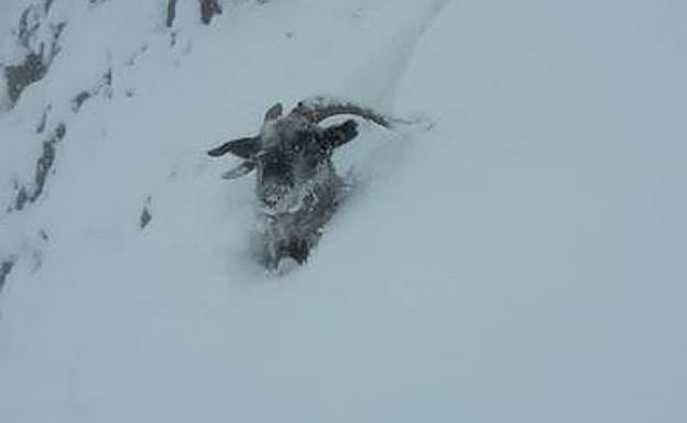 Las espectaculares imágenes que deja el temporal en Asturias