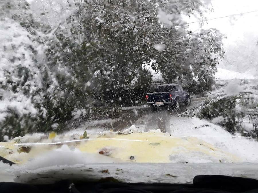 Asturias permaneció prácticamente aislada de la Meseta tanto por carretera como por vía férrea.