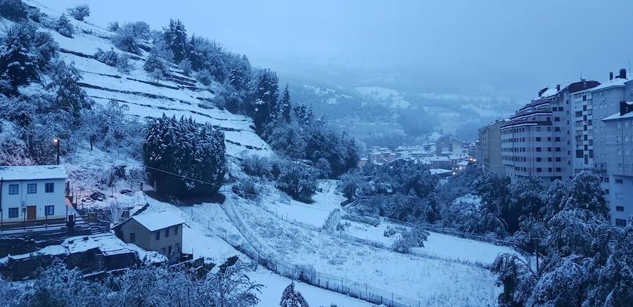 Los cortes de sumninistro eléctrico afectaron a numerosos usuarios y un total de 1.300 alumnos de Degaña, Allande, Cangas del Narcea e Ibias no tendrán clase este lunes.