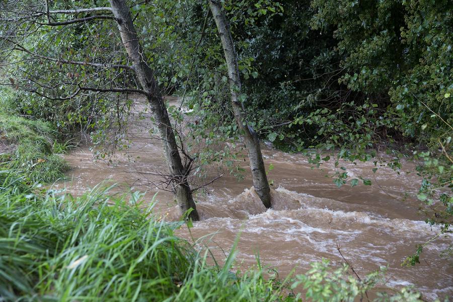 Gijón no se escapó del temporal y la lluvia anegó el parque fluvial.