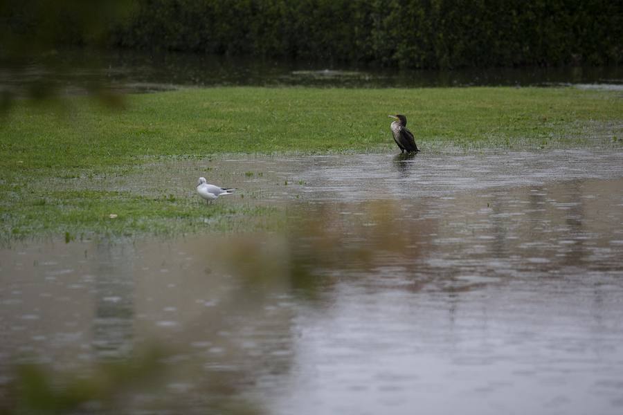 Gijón no se escapó del temporal y la lluvia anegó el parque fluvial.