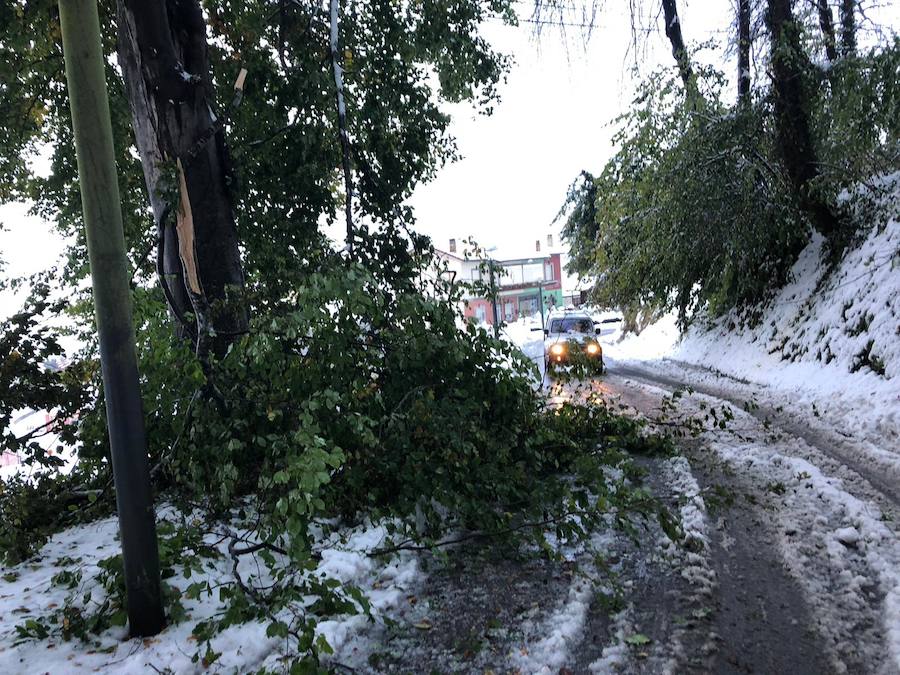 En líneas generales, la semana vendrá protagonizada por más inestabilidad hacia el oeste y menos probabilidad de lluvias hacia el oriente. Las temperaturas serán más altas y la cota de nieve será superior a los 1200/1400 metros