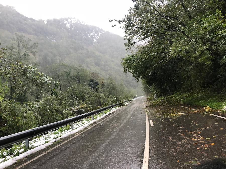 En líneas generales, la semana vendrá protagonizada por más inestabilidad hacia el oeste y menos probabilidad de lluvias hacia el oriente. Las temperaturas serán más altas y la cota de nieve será superior a los 1200/1400 metros