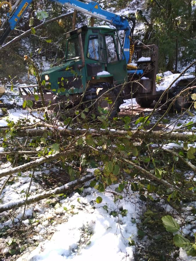 En líneas generales, la semana vendrá protagonizada por más inestabilidad hacia el oeste y menos probabilidad de lluvias hacia el oriente. Las temperaturas serán más altas y la cota de nieve será superior a los 1200/1400 metros