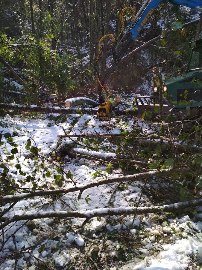 En líneas generales, la semana vendrá protagonizada por más inestabilidad hacia el oeste y menos probabilidad de lluvias hacia el oriente. Las temperaturas serán más altas y la cota de nieve será superior a los 1200/1400 metros