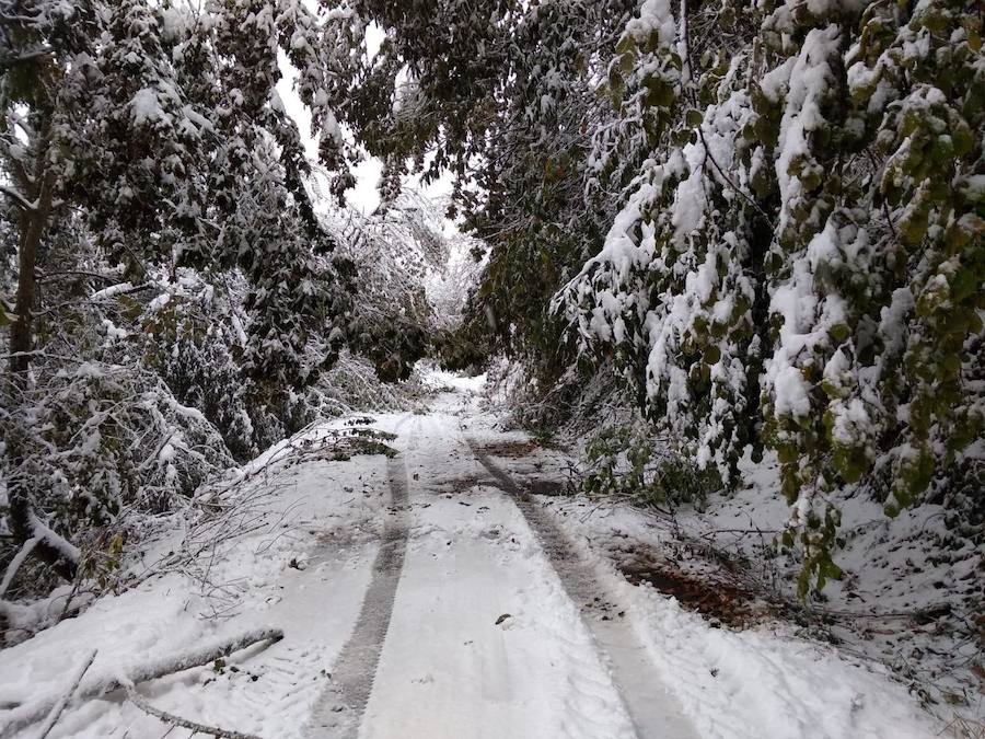 En líneas generales, la semana vendrá protagonizada por más inestabilidad hacia el oeste y menos probabilidad de lluvias hacia el oriente. Las temperaturas serán más altas y la cota de nieve será superior a los 1200/1400 metros