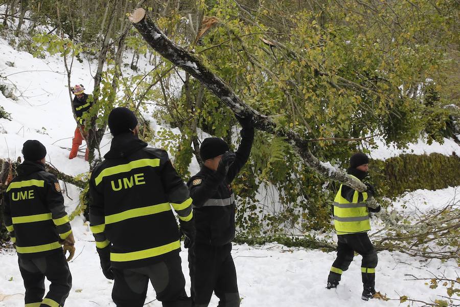 La ola de frío deja tras de sí miles de viviendas sin suministro eléctrico, pueblos incomunicados y cortes de carretera y de las vías del tren en la salida a la Meseta. La región, con la intervención de la UME, va recuperando la normalidad. 