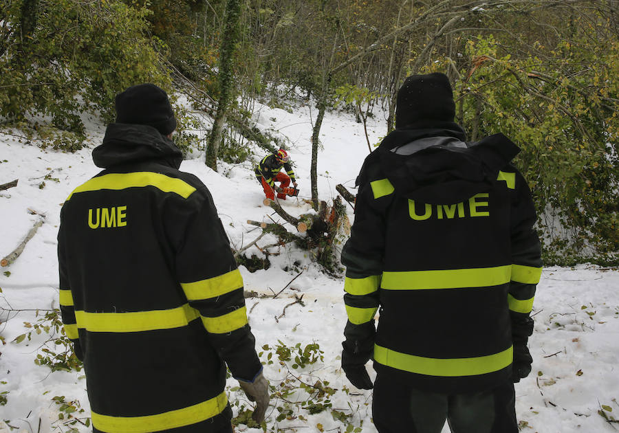 El Principado pide la ayuda de la Unidad Militar de Emergencias para hacer frente a las nevadas. 107 efectivos y 22 vehículos militares trabajan en la retirada de árboles caídos y en la apertura de carreteras en zonas del occidente. Esta mañana han rescatado, además, a una persona en Taladrid, en Ibias