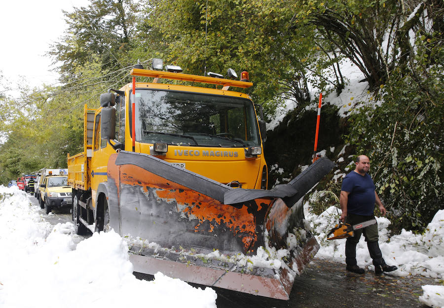 El Principado pide la ayuda de la Unidad Militar de Emergencias para hacer frente a las nevadas. 107 efectivos y 22 vehículos militares trabajan en la retirada de árboles caídos y en la apertura de carreteras en zonas del occidente. Esta mañana han rescatado, además, a una persona en Taladrid, en Ibias