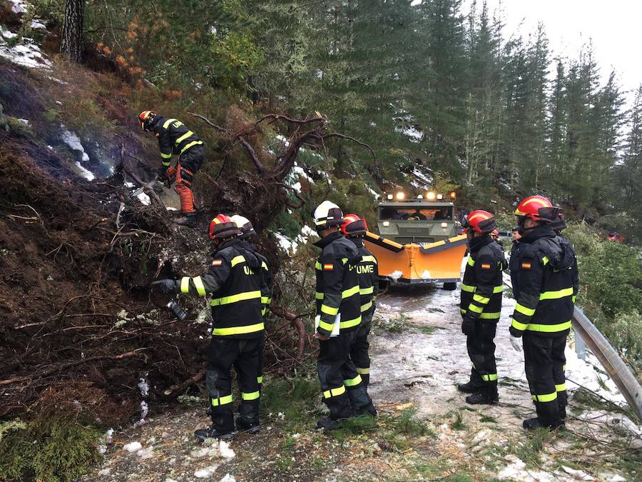 El Principado pide la ayuda de la Unidad Militar de Emergencias para hacer frente a las nevadas. 107 efectivos y 22 vehículos militares trabajan en la retirada de árboles caídos y en la apertura de carreteras en zonas del occidente