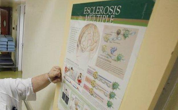 Esclerosis múltiple: lo que se sabe, lo que se ignora y lo que se sospecha