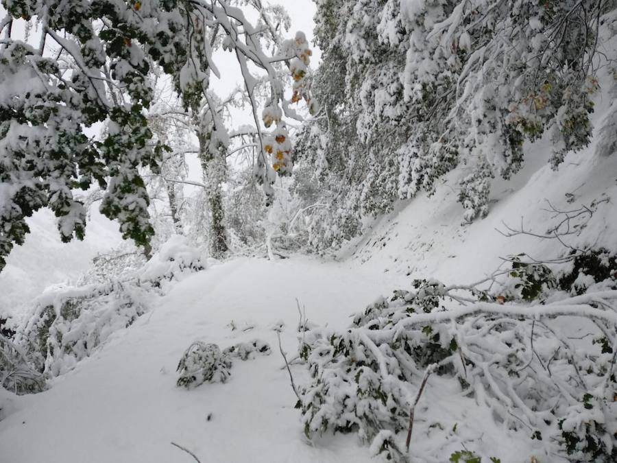 Este martes subirán las temperaturas con vientos de suroeste-oeste. Para mañana, esperamos un día, en líneas generales, muy similar al de hoy