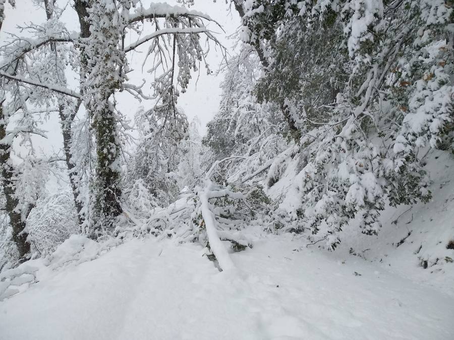 Este martes subirán las temperaturas con vientos de suroeste-oeste. Para mañana, esperamos un día, en líneas generales, muy similar al de hoy