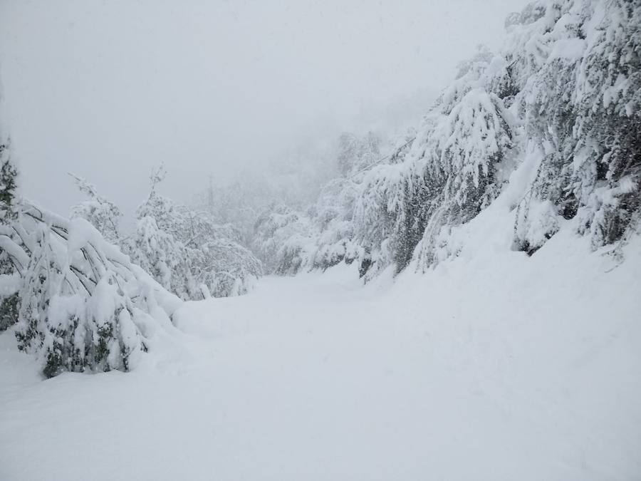Este martes subirán las temperaturas con vientos de suroeste-oeste. Para mañana, esperamos un día, en líneas generales, muy similar al de hoy