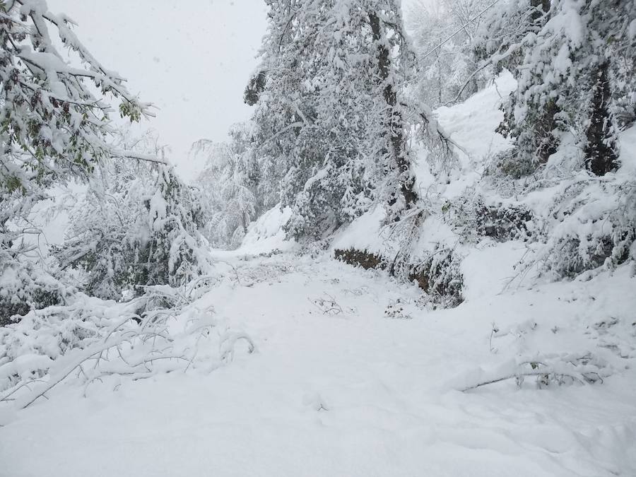 Este martes subirán las temperaturas con vientos de suroeste-oeste. Para mañana, esperamos un día, en líneas generales, muy similar al de hoy