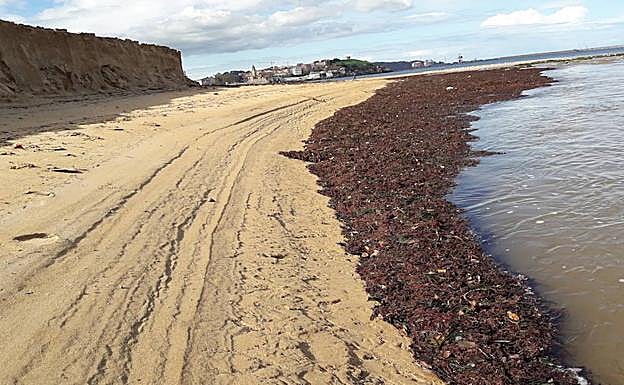 Las algas, a la derecha, y el enorme escalón, a la izquierda.