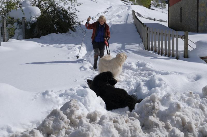 La nieve cubrió la carretera de acceso a la localidad de Cabrales desde las ocho de la tarde del lunes y las máquinas no pudieron trabajar en la zona hasta el martes